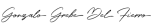 Gonzalo Grebe – Arte
