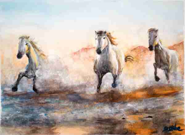 Caballos de mar